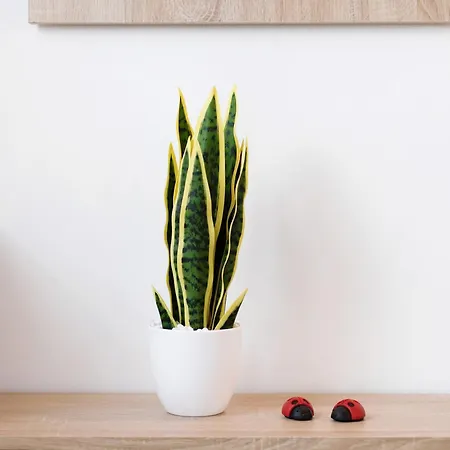 Casale La Coccinella Gelsomino 아파트 *